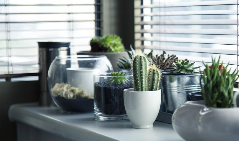 Upcycled Planters